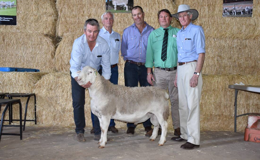 Dawson Bradford holds the $18,000 top price UltraWhite ram at the Hillcroft Farms sale at Popanyinning on Tuesday. With him is buyer and Perth businessman John Cranston, Kingslane stud, farm manager Geoff Hillman, Roy Addis from Nutrien Breeding and Hillcroft Farms stud principal Dawson Bradford.