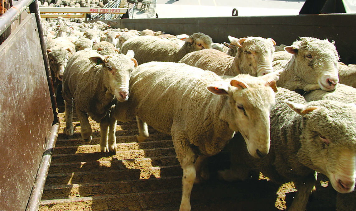 The Independent Regulator has said there are no reasonable prospects of a conviction against live export company Emanuel Exports.