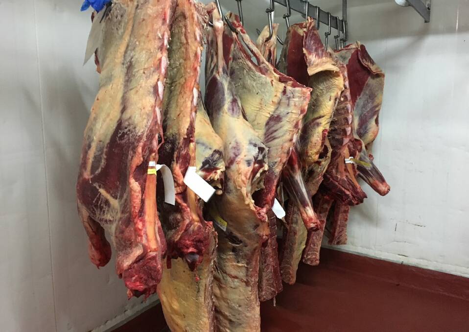  The Jersey cattle are processed at a local butcher and hung on the hook for a week. The carcases are instantly identifiable being smaller, with yellow fat and dark red meat.