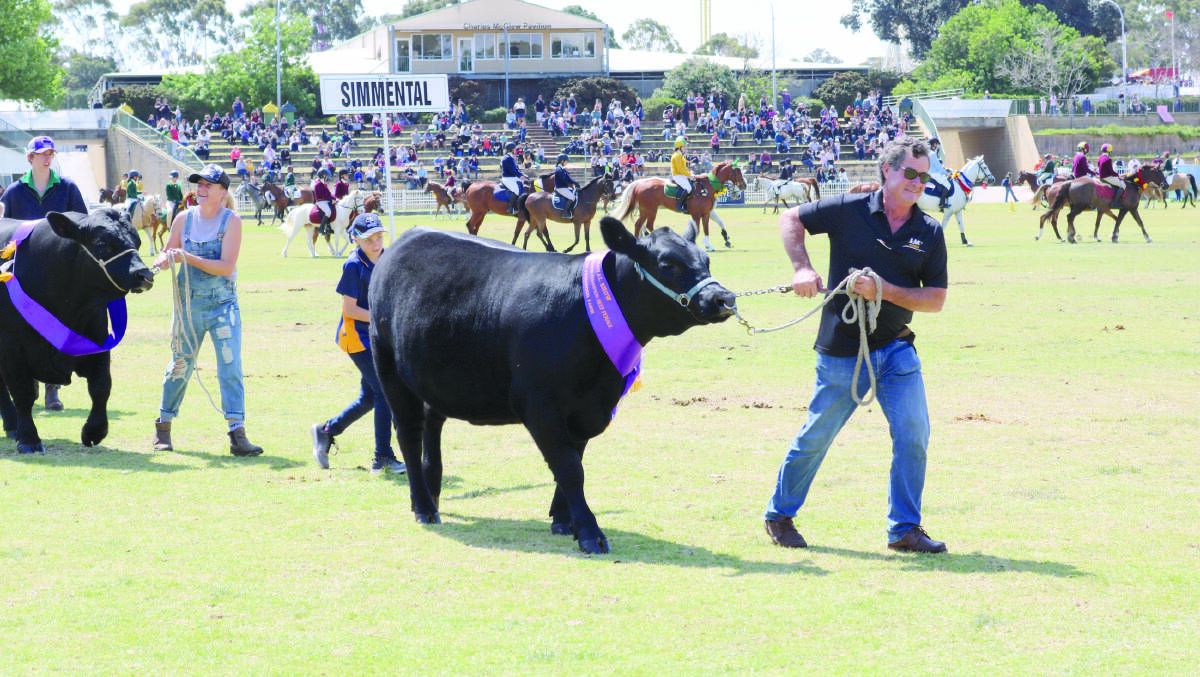 2020 Perth Royal Show is a goer!