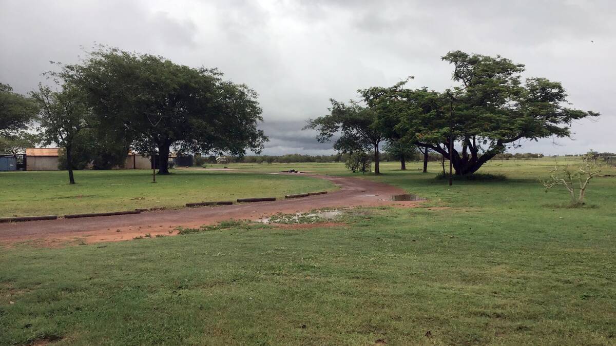 David Stoate from Anna Plains station, south west Kimberley, took this photograph after he enjoyed the 72mm which fell from the tropical low system and said there was now green grass everywhere. 