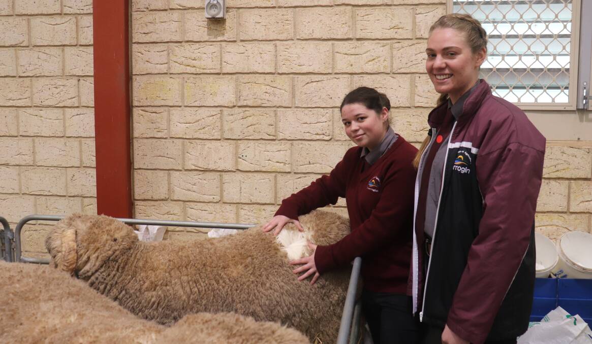Throughout the day the students had the chance to follow some of the stud breeders. Narrogin Ag students Leah Hardingham and Alika Gould inspecting some of the Kolindale stud rams.