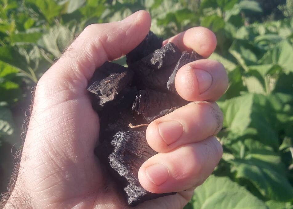 Biochar has various positive impacts for agriculture.