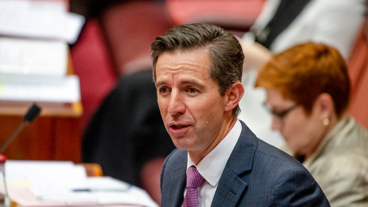 RESHUFFLE: Current Trade Minister Simon Birmingham will have a lot on his plate when he takes over the finance portfolio at the end of the month.