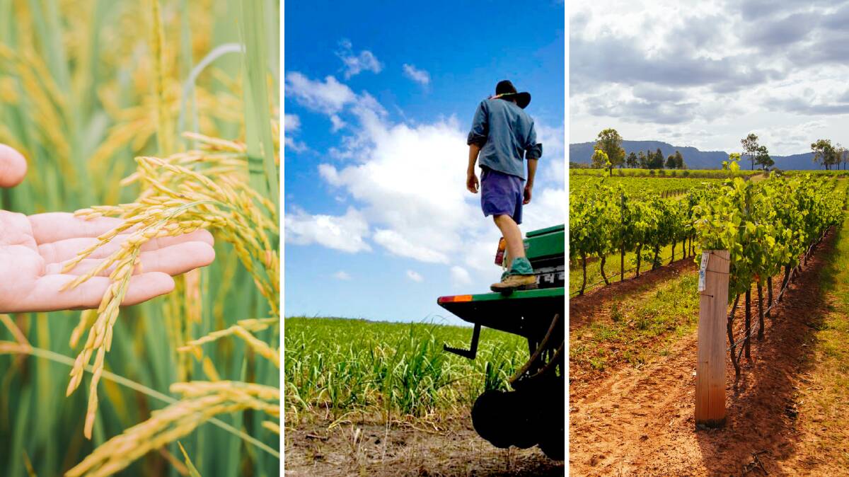 DIVERSIFY: Rice growers, sugar cane growers and vineyards all welcomed the news.