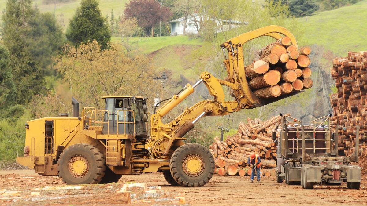 Govt promises $220m for forestry tech to ease domestic timber shortage