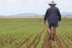 New method reduces soil carbon measurement costs for farmers by 90pc