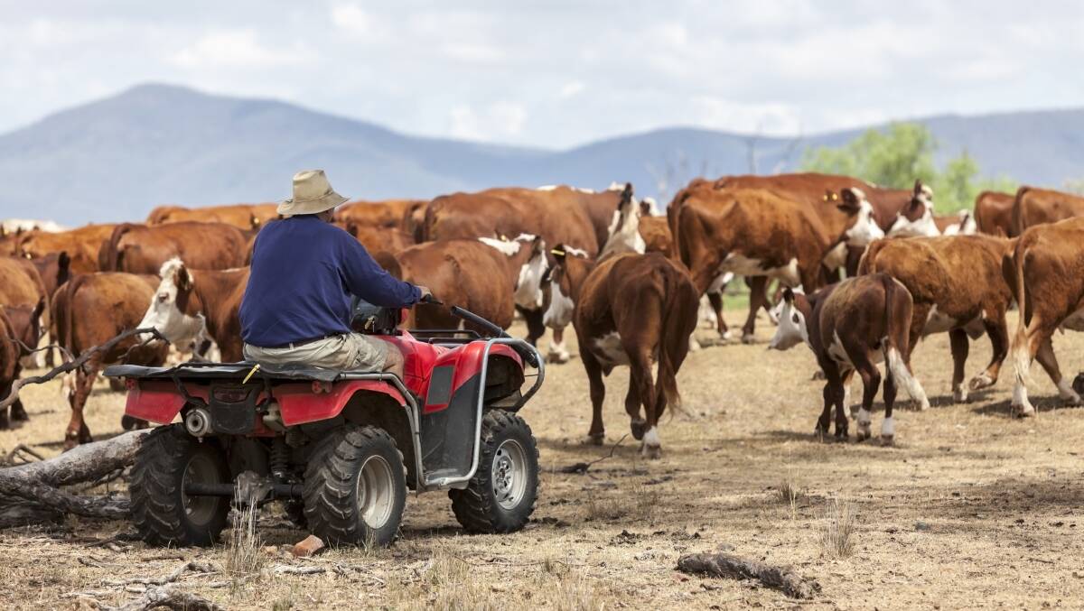 STORIES: The ACCC wants to here from farmers about their experience when dealing with supermarkets. Photo: Shutterstock