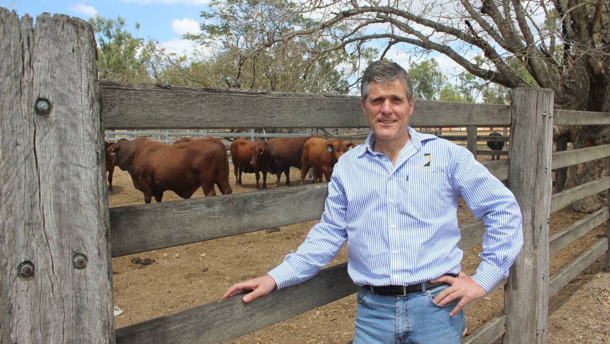 FIRST STEP: AgForce CEO Michael Guerin said an industry-wide baseline has to be prioritised, so farmers can begin making practical steps towards reducing their emissions. 
