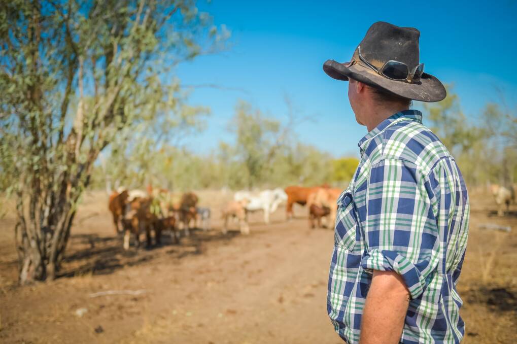 Livestock farmers urged to embrace the on-farm net-zero benefits
