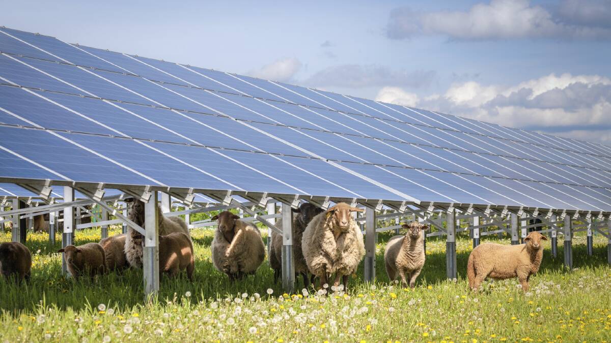 Farmers support new govt agency to spread renewable energy wealth
