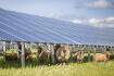 Farmers support new govt agency to spread renewable energy wealth
