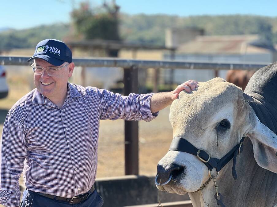 Agriculture Minister Murray Watt said the government was footing most of the bill, but to provide ongoing funding there had to be a "modest" biosecurity protection levy on primary producers.