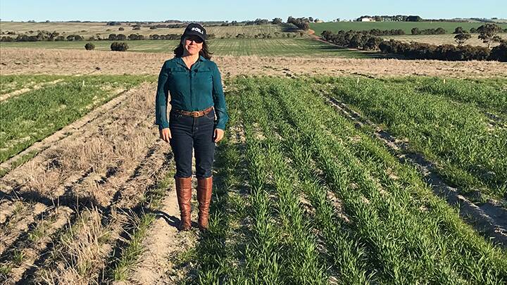 PRACTICAL LEARNING: Dr Hanabeth Luke out in the field for one of the regenerative ag course's hands-on research projects.