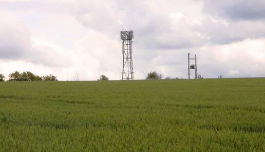 The NFF says telcos should agist their towers to other providers, like farmers agist their land and cattle.