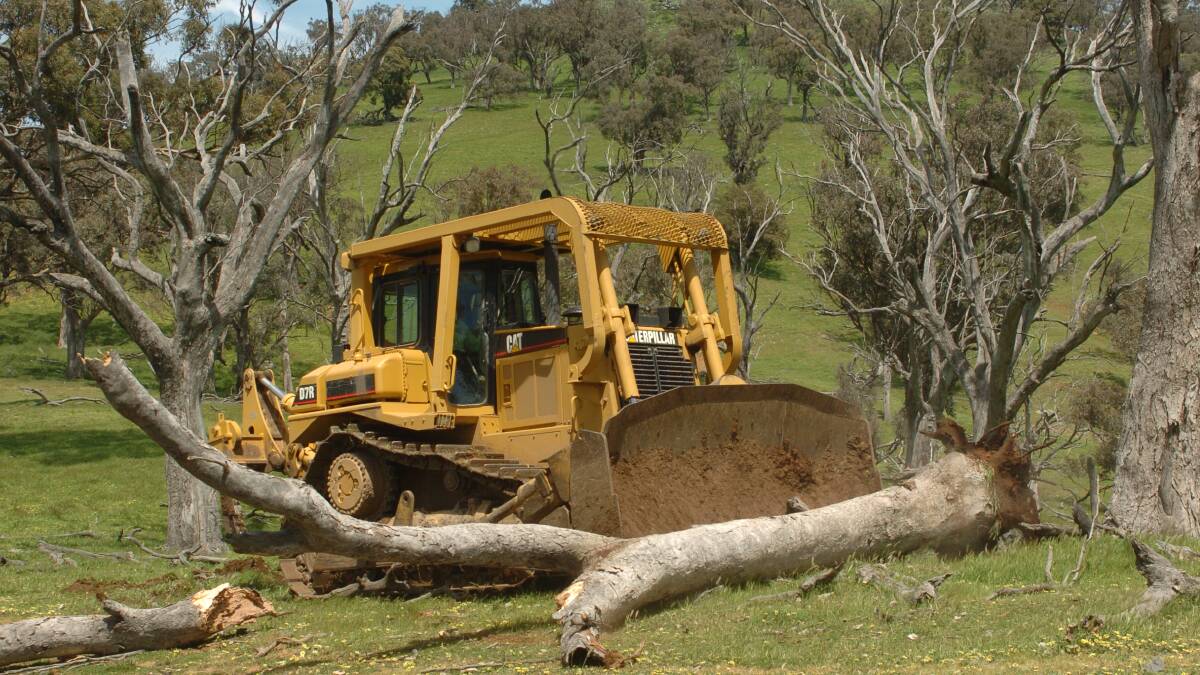Labor considers move to ban all land clearing