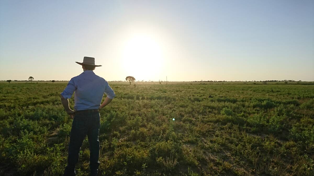 BOOMING: The policy decisions that have created the green revolution have influenced a number of trends in the agriculture sector. Photo: Sally Cripps. 