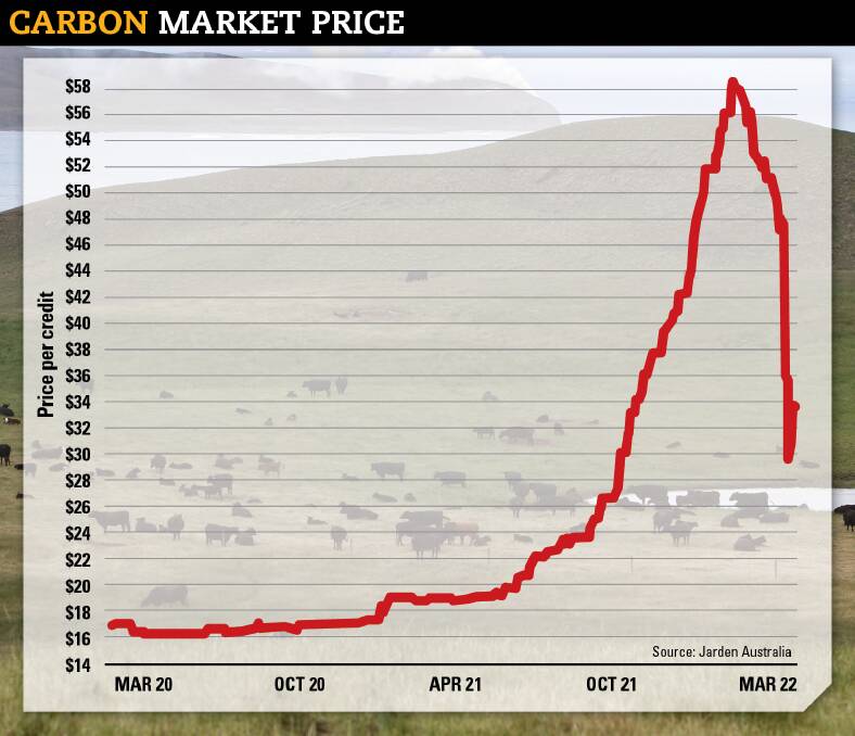 This is why the carbon credit price plummeted after govt decision