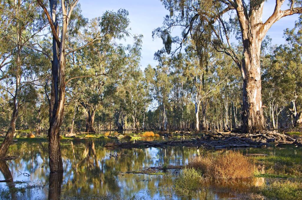 Climate and Indigenous focus for national water plan: report