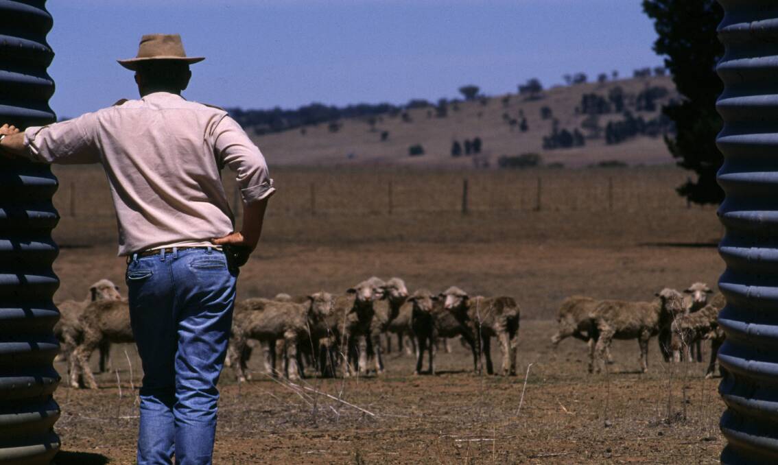 Govt releases $100m to fund long-term drought resilience projects