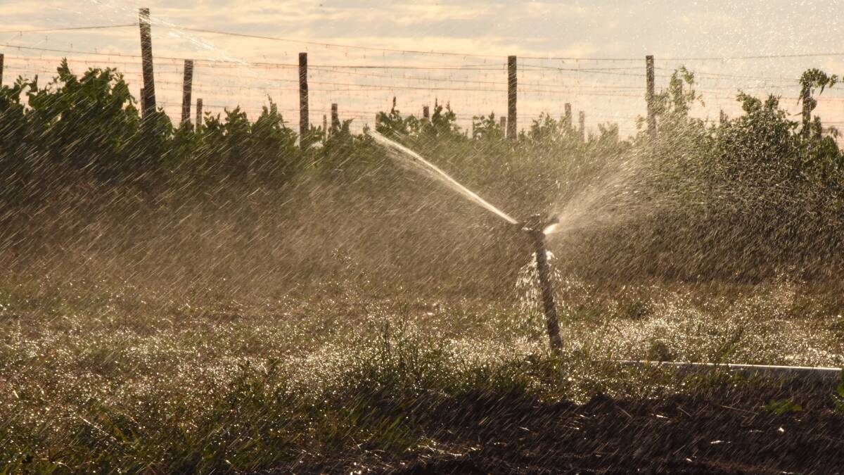 WATER WOES: The challenge seeks to solve questions such as how to use less water in agriculture yet be more profitable.
