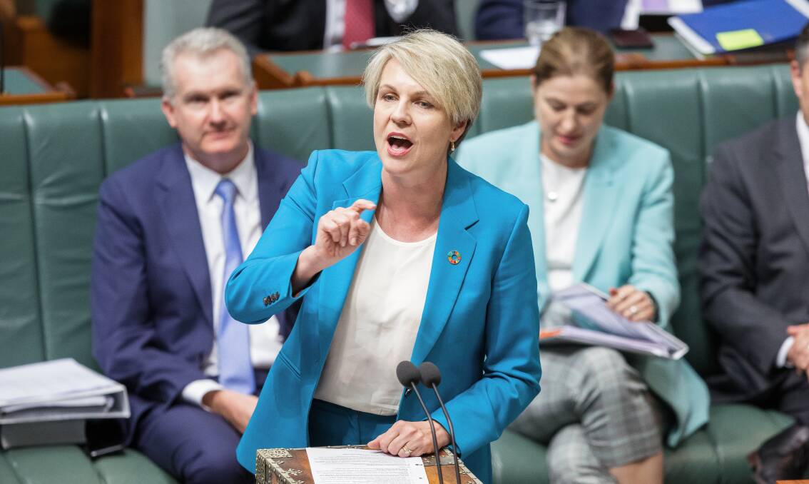 Water Minister Tanya Plibersek laid the blame for the plan's failure at the feet of the former government. Picture by Sitthixay Ditthavong