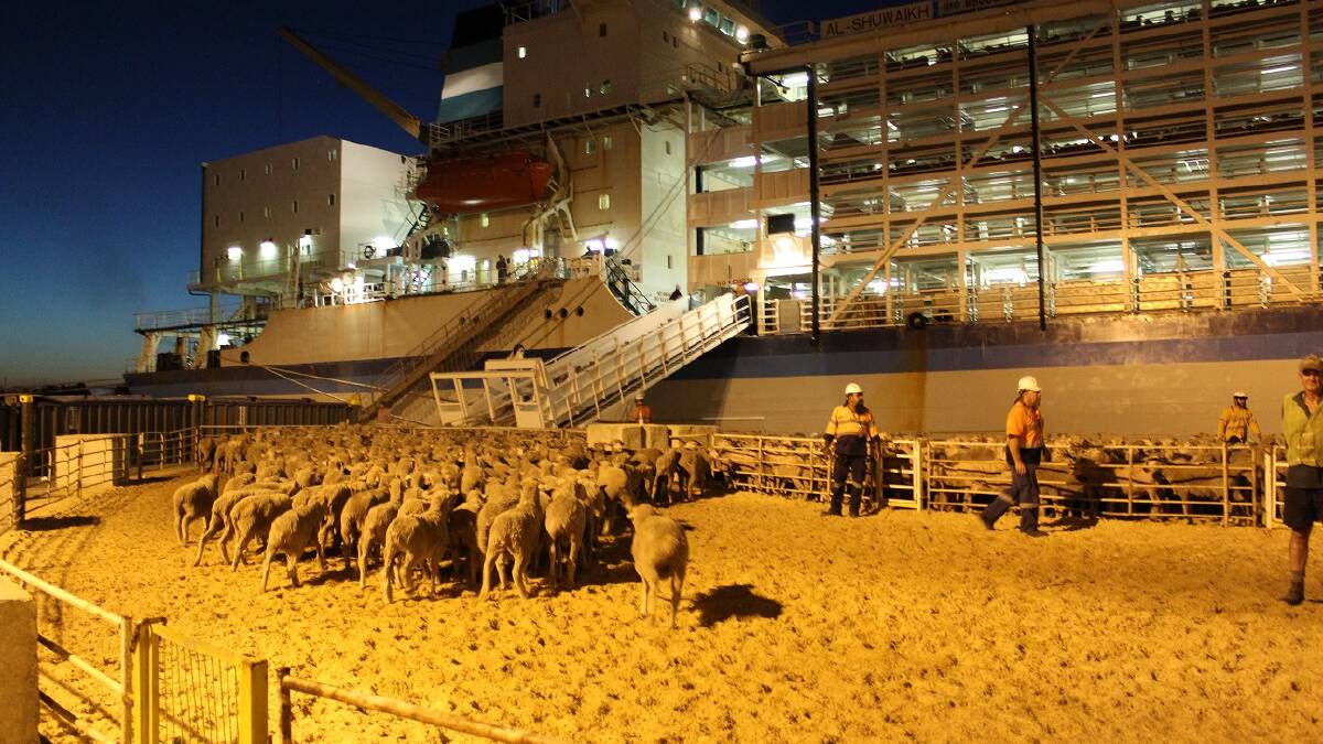 Live exporters suspended from Jordan slaughter facility