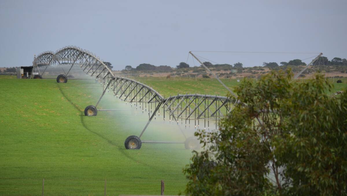 Dairy farm irrigators getting more crop for their drop