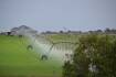 Dairy farm irrigators getting more crop for their drop