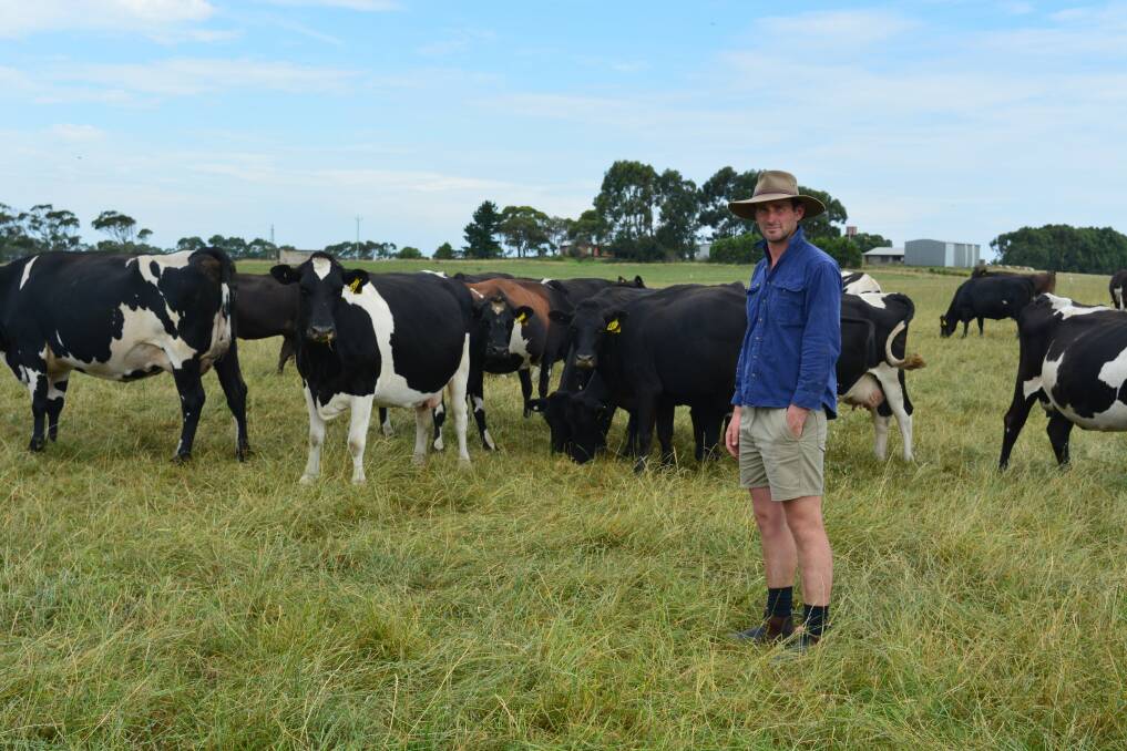 Michael Krybolder and his family operate a simple farm system based on perennial ryegrass.