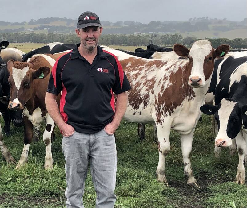 Paul Cocksedge says his Aussie Reds cows have more than held their own against their Holstein herdmates.