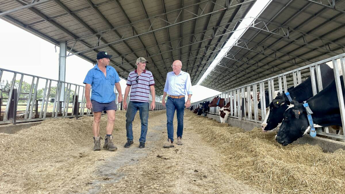 Dan Cochrane, Wogamia, NSW, and Tim Cochrane, Numbaa, NSW, meet with Global Dairy Farmers president Ad van Velde, the Netherlands, to discuss Australian dairy systems. Picture by Hayley Warden