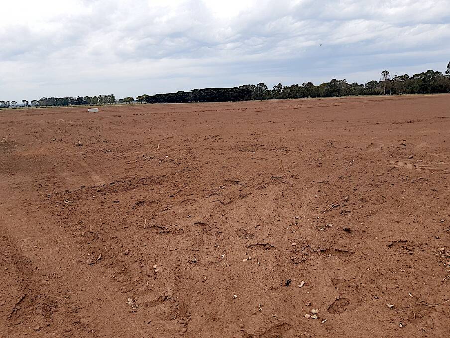 A recently laser-graded paddock at the Macalister Demonstration Farm where different treatments are being trialled to bring these paddocks to full production faster.