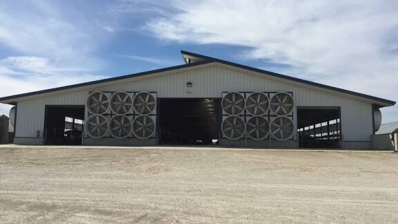 A tunnel-ventilated hybrid barn with a six-row stall configuration, curtain sidewalls and a curtain managed ridge opening. Photo: The Dairyland Initiative