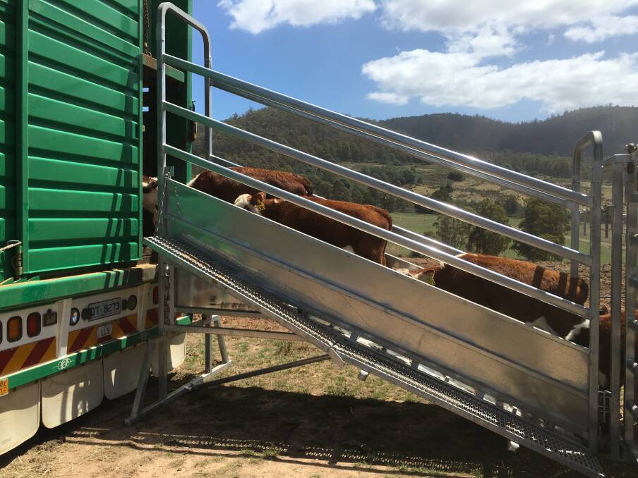 EASY LOADING: Brazzen Rural Supplies stock both mobile and adjustable cattle ramps.