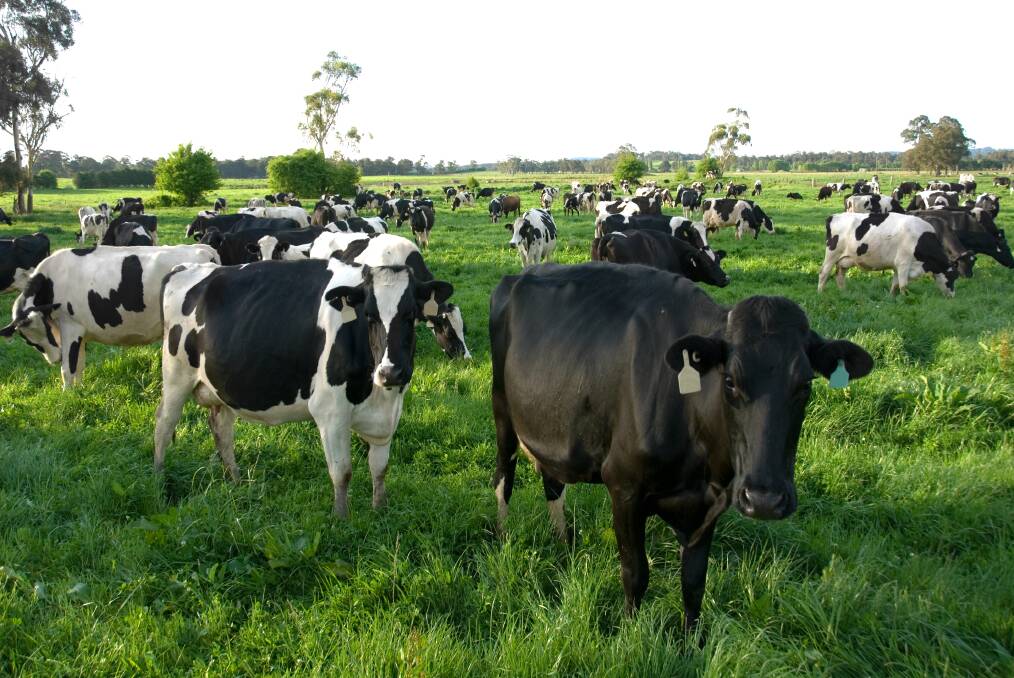 Despite a positive backdrop, the Rabobank Dairy Quarterly report says global commodity markets are delicately poised. Photo by Shutterstock/Phillip Minnis.