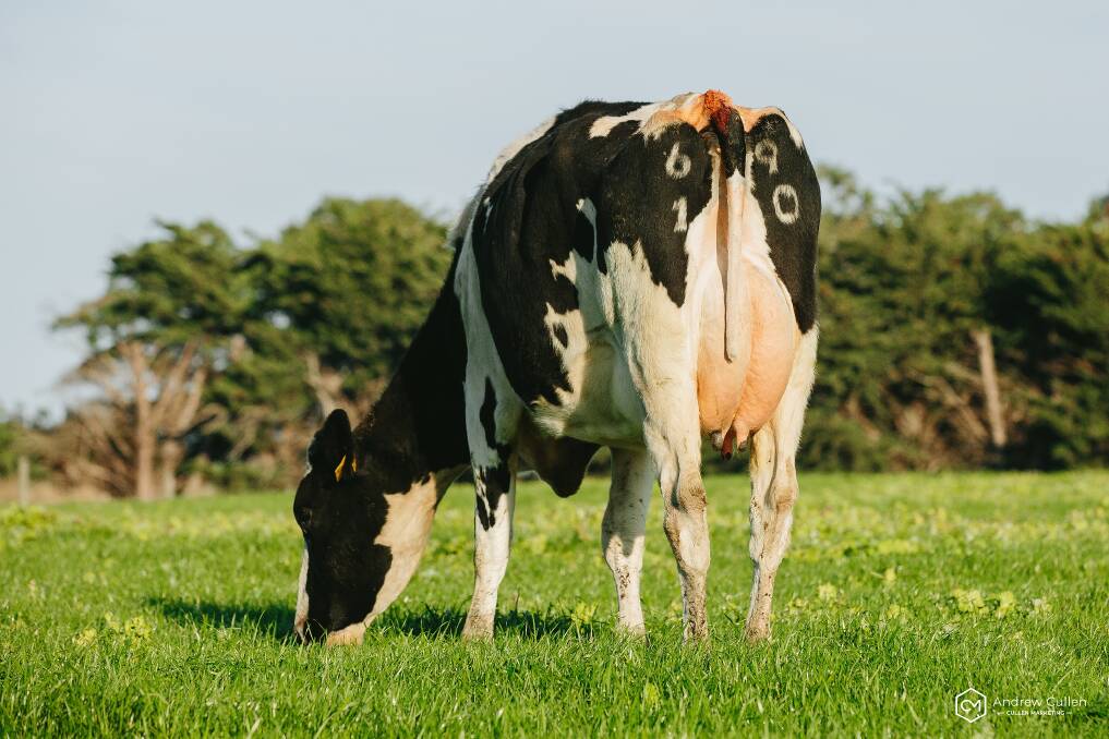 Global milk production growth is projected to moderate in 2021.
