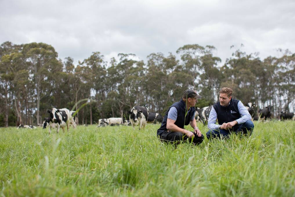 An increased levy would allow Dairy Australia to have more people on the ground in regions throughout Australia.
