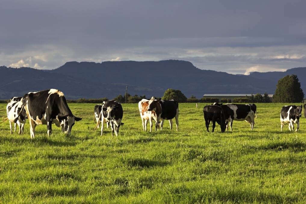 The Victorian dairy tour is a new opportunity for young dairy people from along the supply chain. Photo: Shutterstock/Henryk Sadura.
