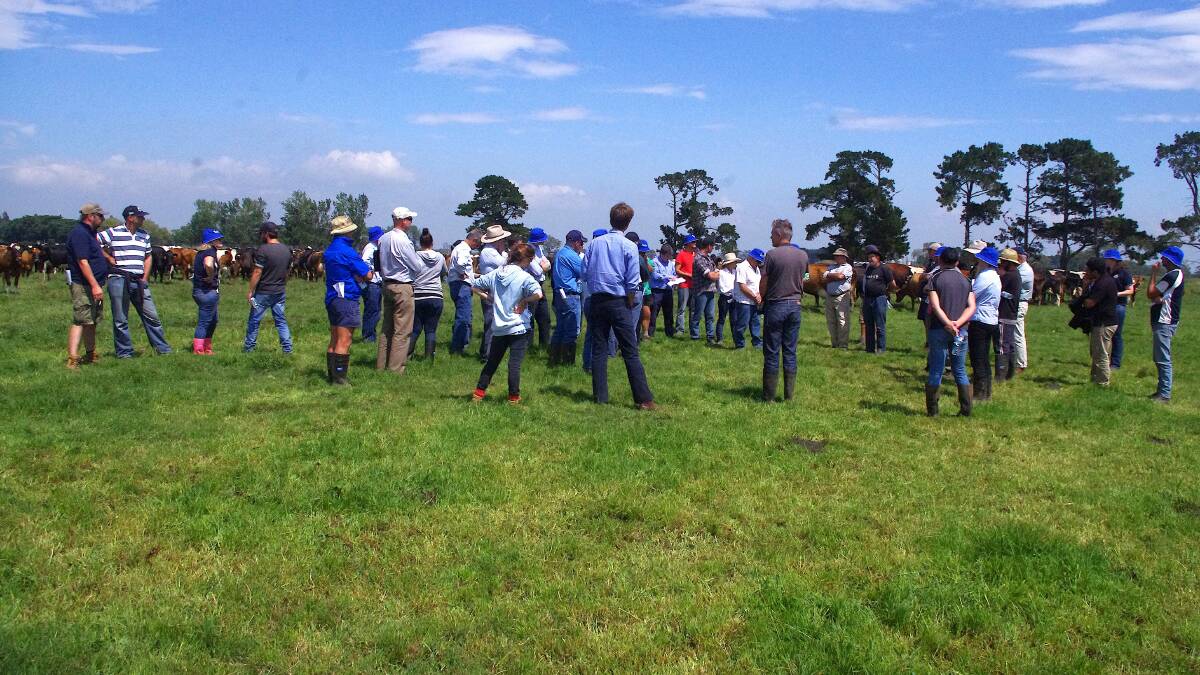 The Macalister Demonstration Farm undertakes projects that create opportunities for local dairy farmers to assess the profitability of pasture, cropping and irrigation trials against their own production systems.