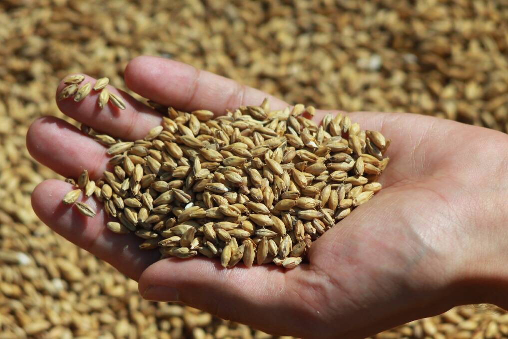 What is in store for exports of Australian barley over the 2019/20 marketing year?