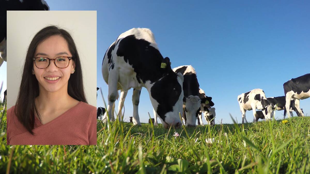 Rachel Lee has her sights on a dairy career thanks to the Monash Industry Team Initiative (MITI) Dairy Program.