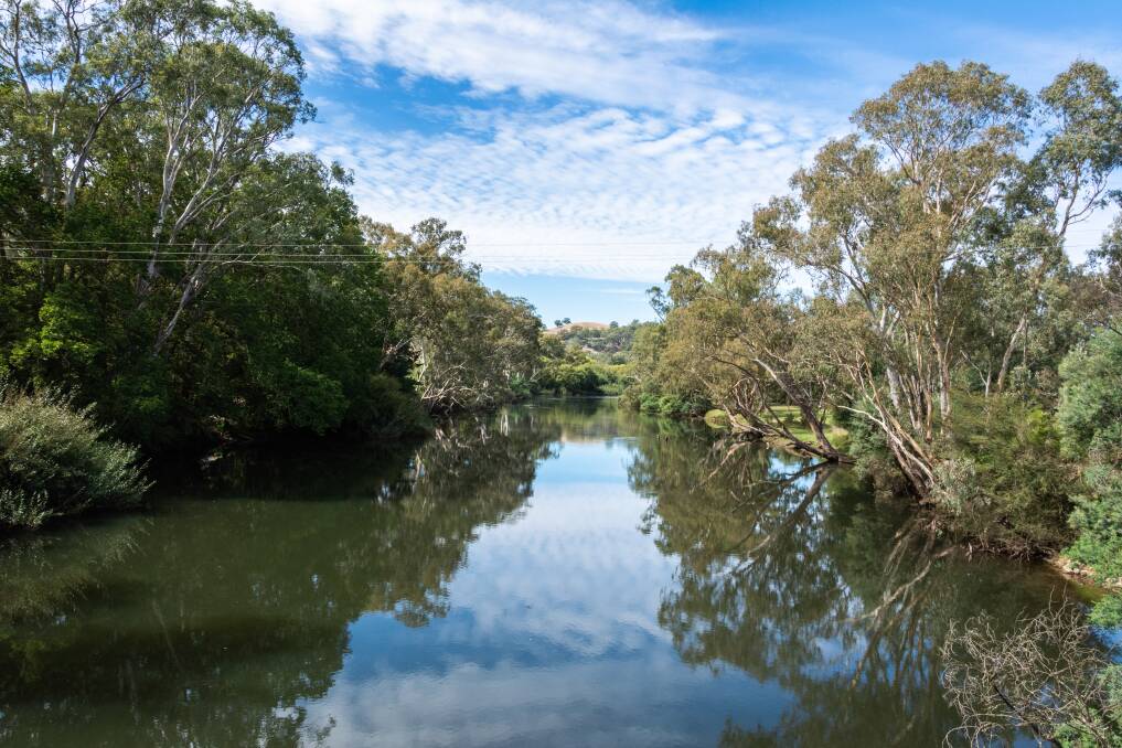 NSW Farmers vice president and Water Taskforce chair Xavier Martin says it's time for leadership in water management. Photo: Shutterstock/Alizada Studios.