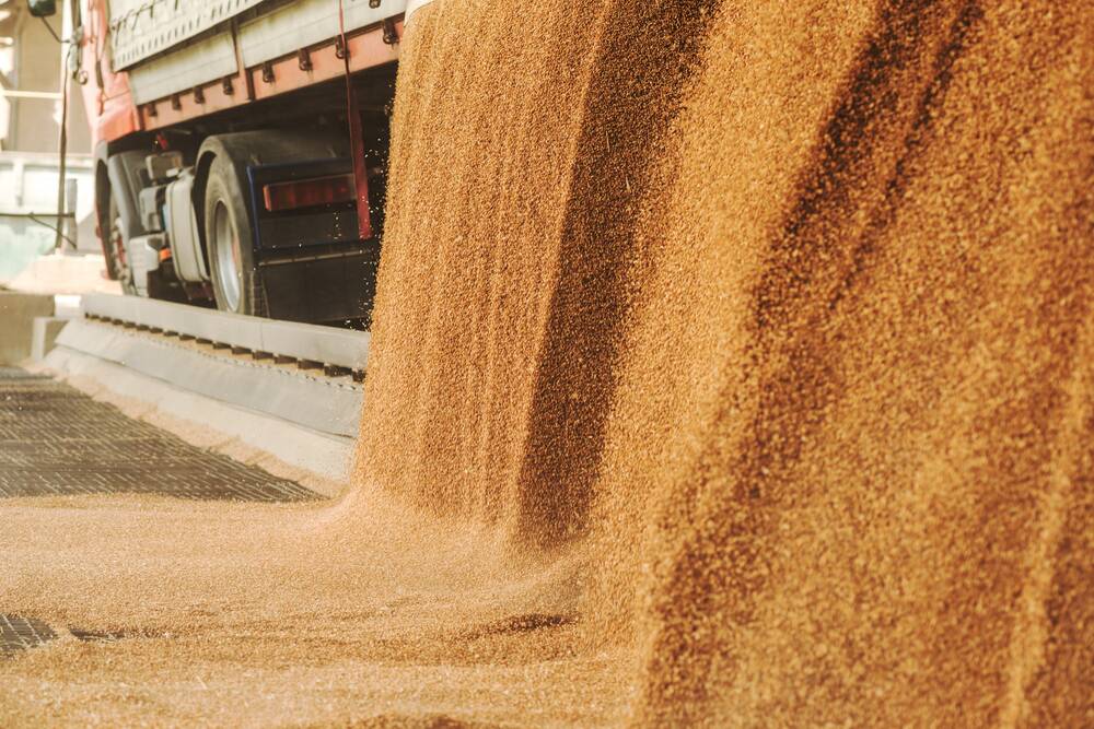 WA disappointed, compared to pre-harvest expectations, with wheat, barley and canola production coming in at 5.5 million tonnes, 3.5 million tonnes and 1.1 million tonnes respectively.