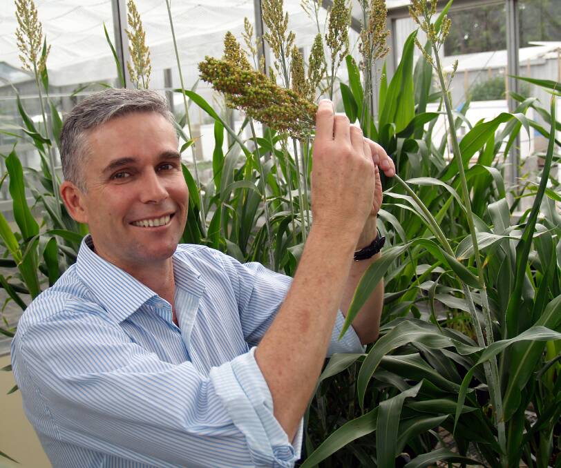 Ian Godwin, Centre for Crop Science director.
