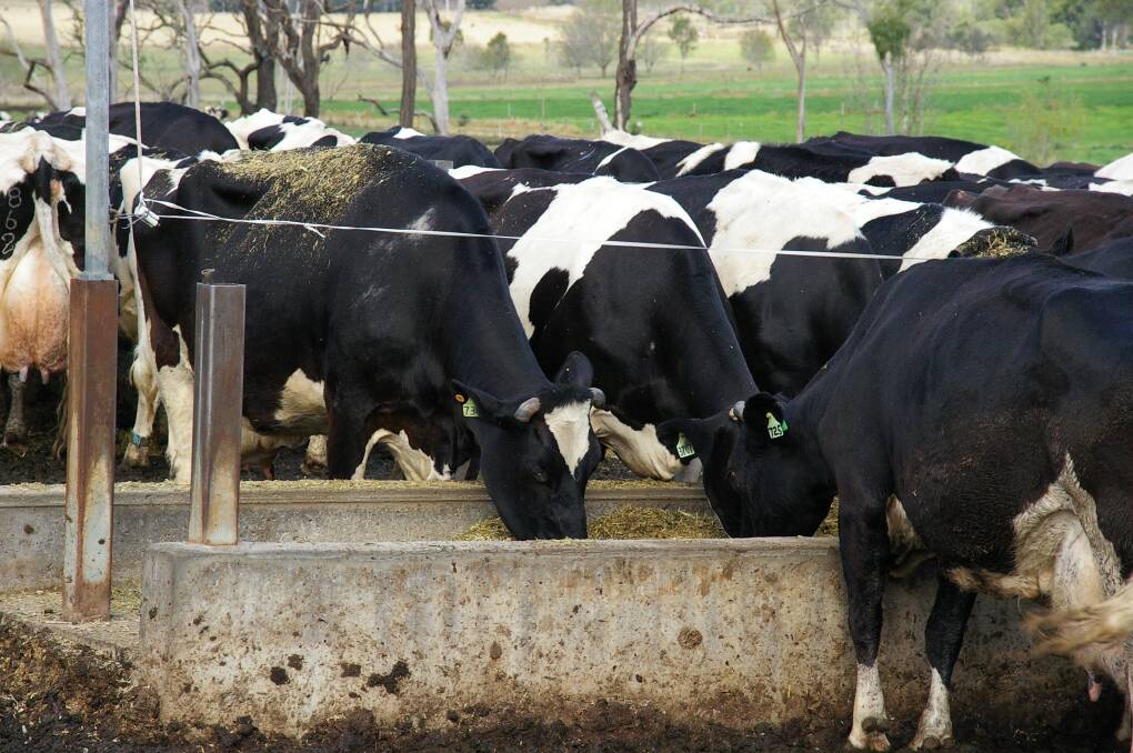 A well-formulated, consistent diet is good for a cow's rumen health and intake, ultimately resulting in higher milk production.