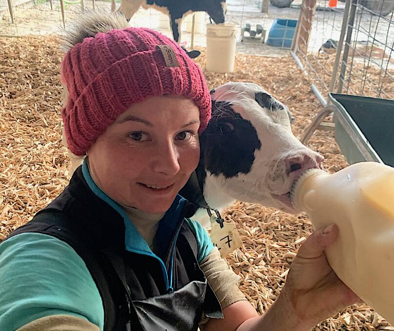 Mandy McIvor said it's important to feed colostrum to the calves for their first two feedings.