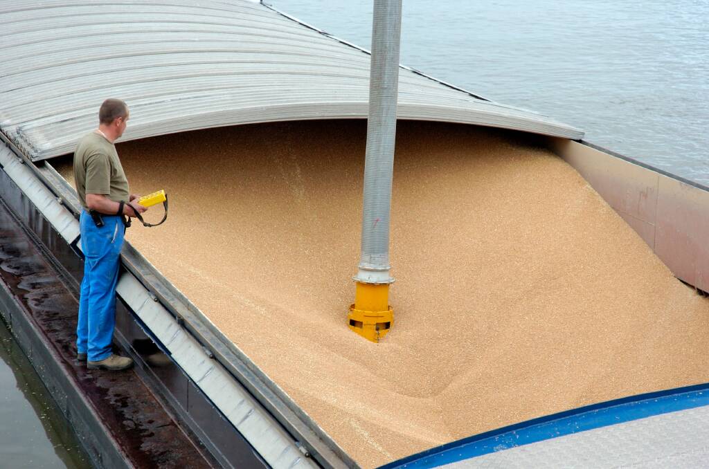 There are more than 450,000 tonnes of grain, worth around 100 million euros (AU$166 million), blocked in French ports. Photo by Shutterstock.