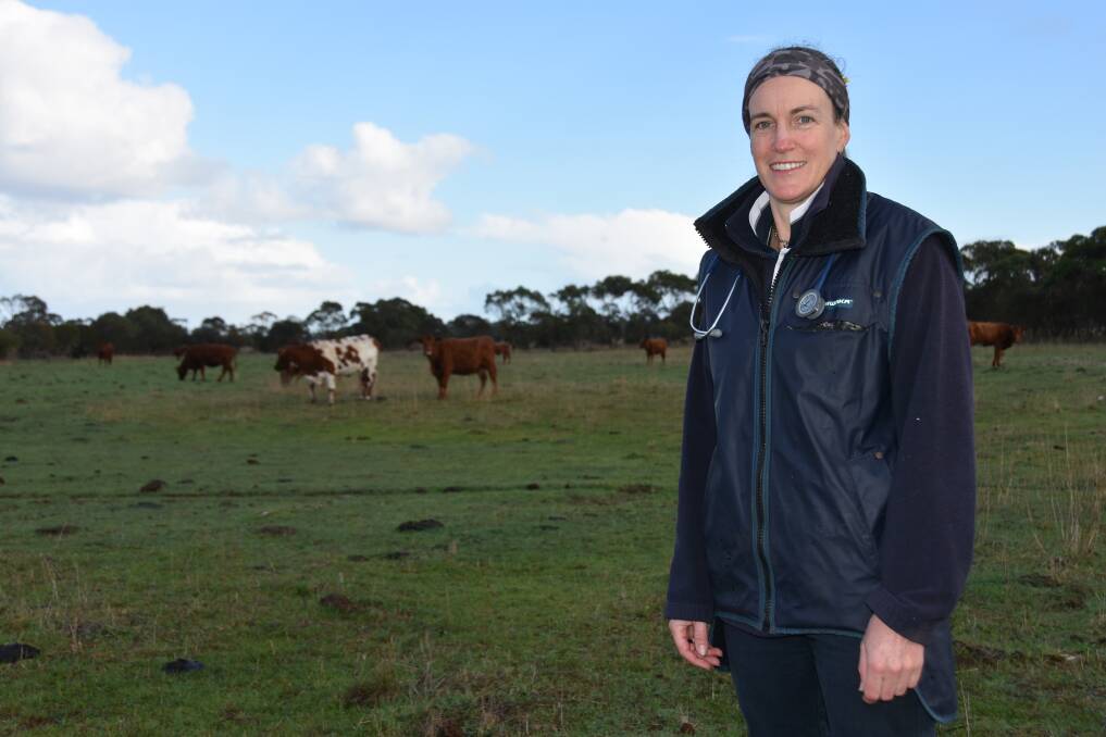Mount Gambier vet Rebel Skirving is conducting research on whether colostrum has long term effects on dairy cow fertility.