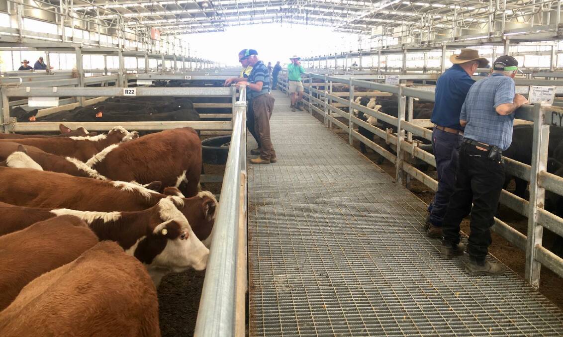 Total Australian beef exports continue to run ahead of last year, with October exports to China almost doubling last year's levels.